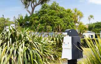 384 Taieri Mouth Road, Kuri Bush