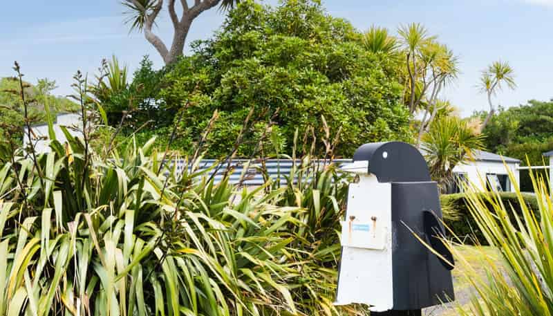 384 Taieri Mouth Road, Kuri Bush