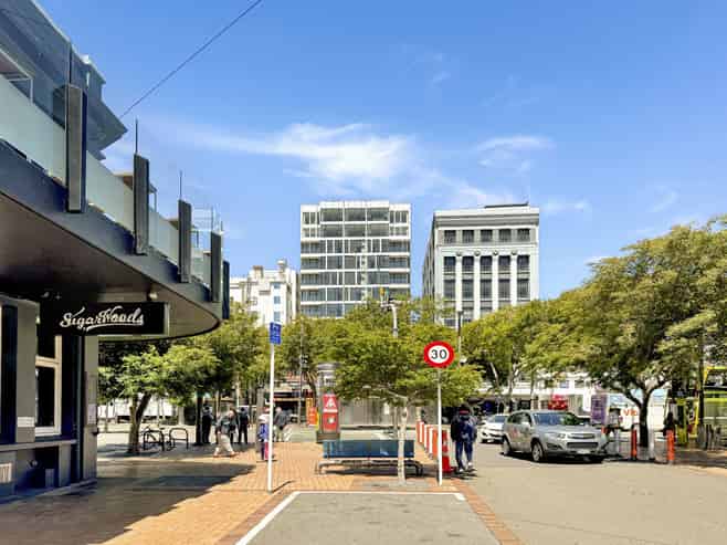 411/10 Alpha Street, Te Aro