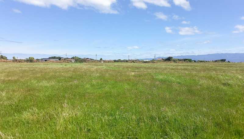 864 Papatotara Road, Papatotara