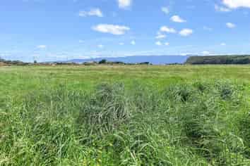 864 Papatotara Road, Papatotara