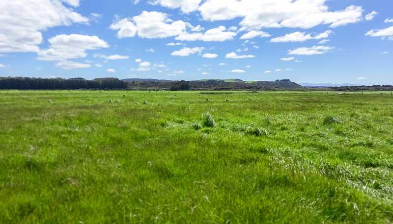 864 Papatotara Road, Papatotara
