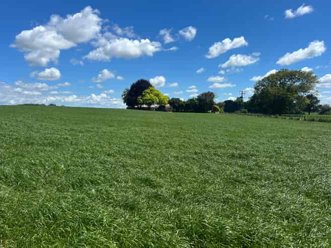 54 Puahue Road, Te Awamutu