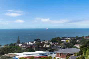 3/3 Galaxy Drive, Mairangi Bay