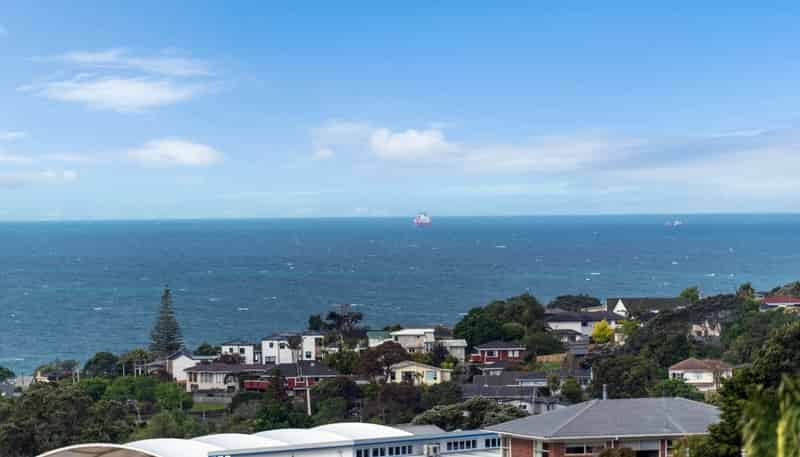 3/3 Galaxy Drive, Mairangi Bay