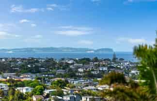 3/3 Galaxy Drive, Mairangi Bay