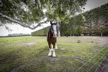 677 Woodstock Road, Oxford