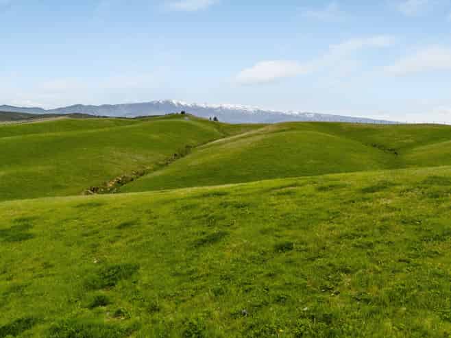  Springvale Road, Alexandra