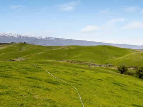 Central Otago / Lakes District - Address withheld