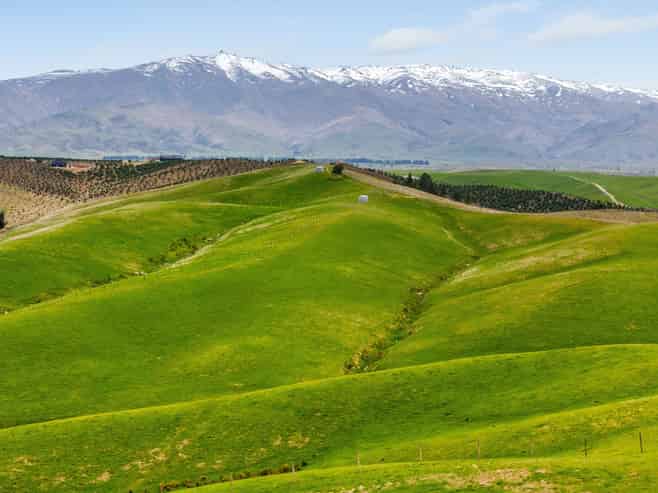  Springvale Road, Alexandra