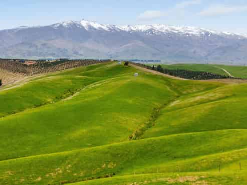 Central Otago / Lakes District - Address withheld