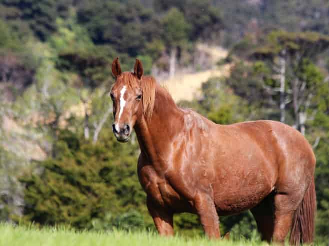 1447 Cove Road, Langs Beach