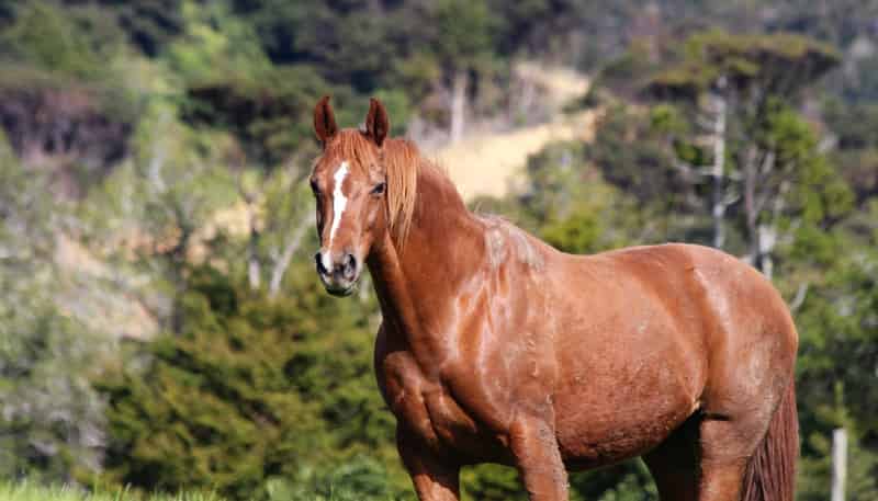 1447 Cove Road, Langs Beach