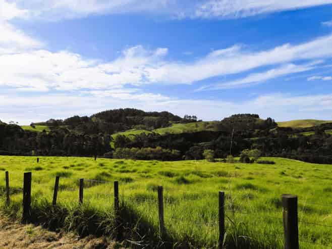 1447 Cove Road, Langs Beach