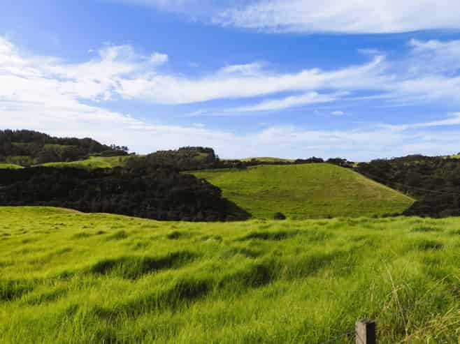 1447 Cove Road, Langs Beach