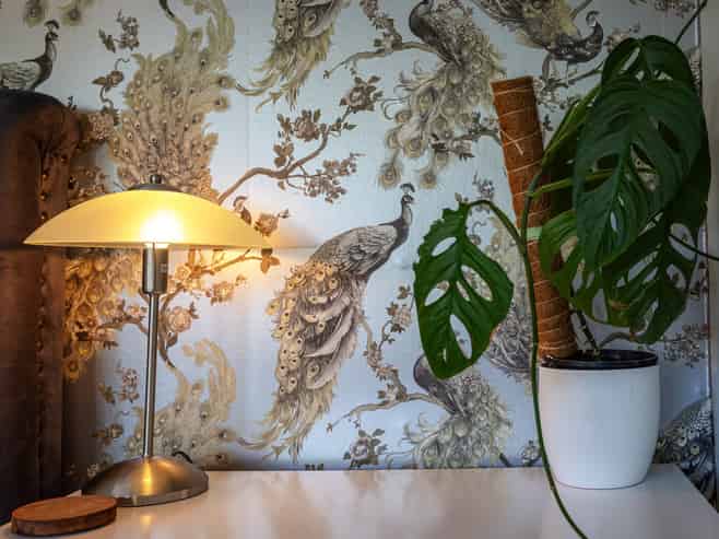 428 Hillside Road, South Dunedin