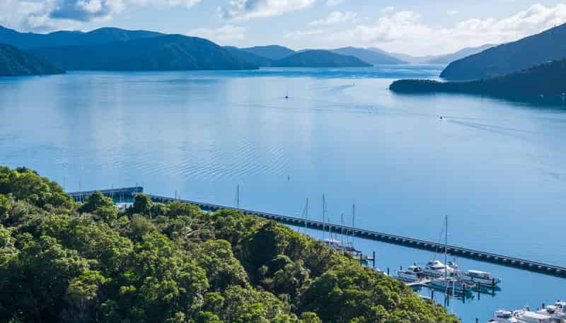 45 - 55 Marina Drive, Waikawa