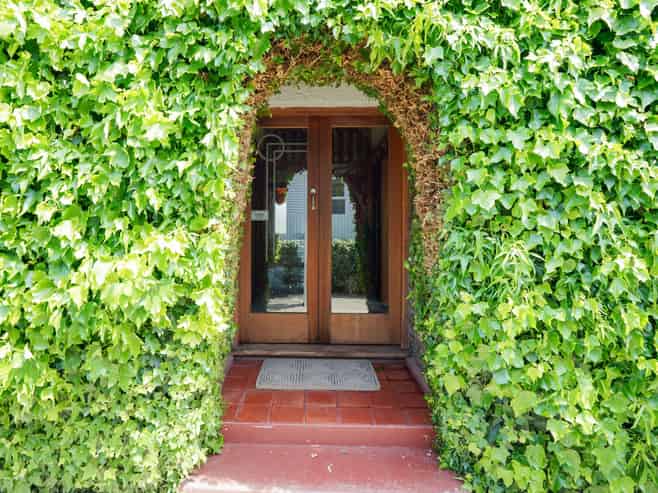 255 Herbert Street, Windsor