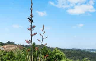 101 Waitokitoki Way, Tutukaka