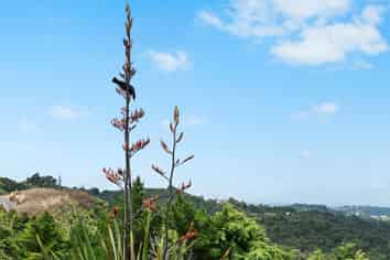 101 Waitokitoki Way, Tutukaka