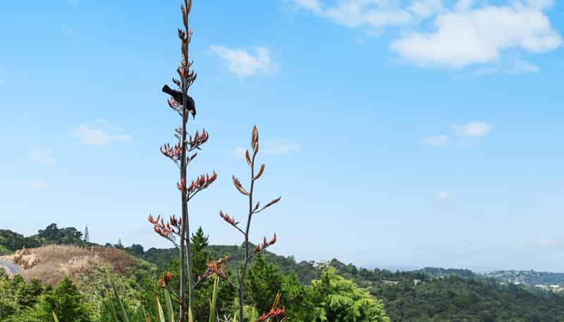 101 Waitokitoki Way, Tutukaka