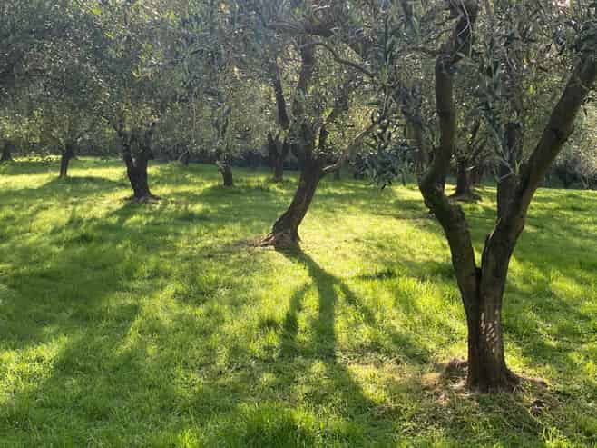 728 Ormiston Road, Waipu