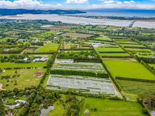 242A and 242B Omaha Flats Road, Matakana