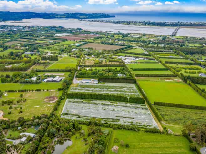 242A and 242B Omaha Flats Road, Matakana