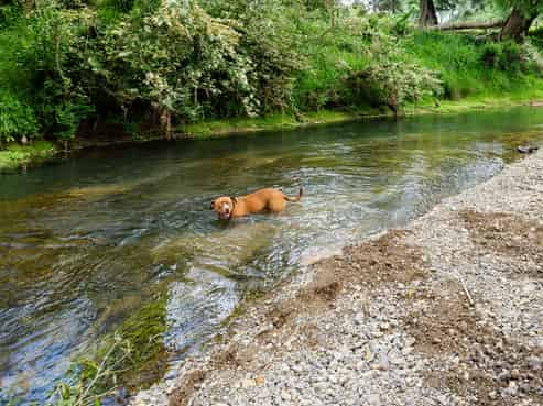 48 Doel Road, Kawakawa