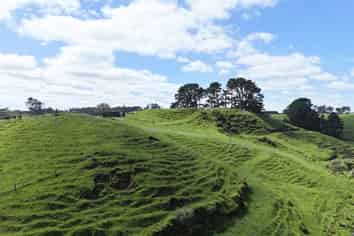 75d Bishop Road, Hillsborough