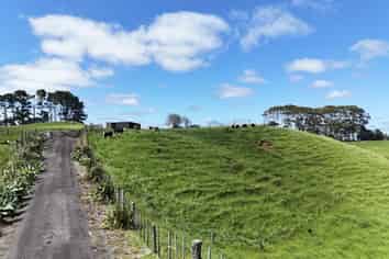 75d Bishop Road, Hillsborough