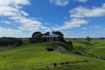 75d Bishop Road, Hillsborough