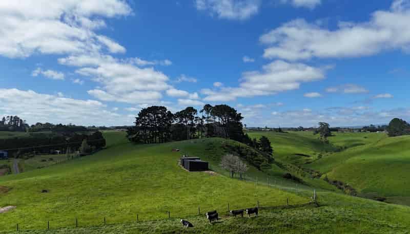 75d Bishop Road, Hillsborough