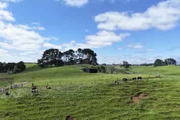 75d Bishop Road, Hillsborough