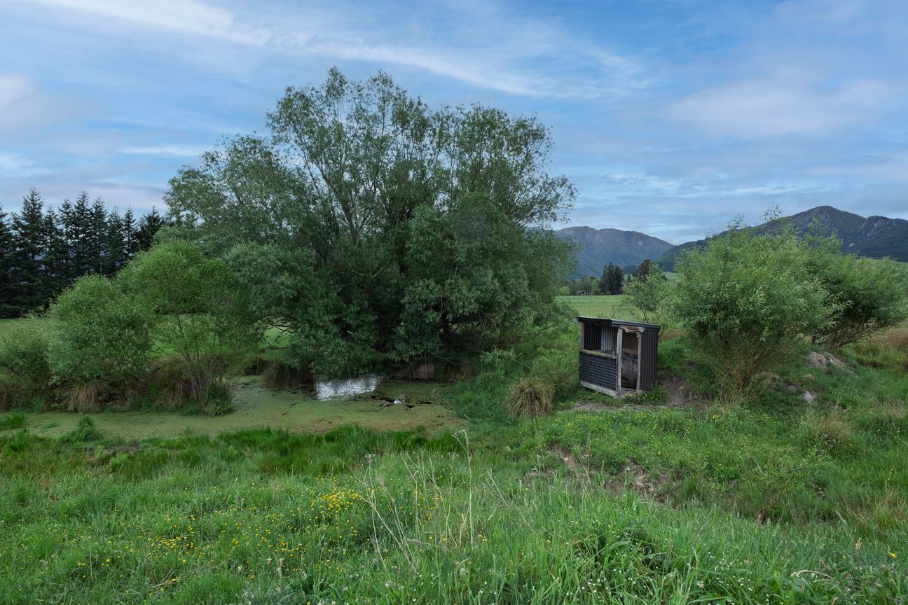 5 Hectare Paradise - Mehr