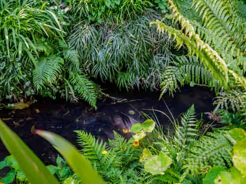 36e Gaine Street, New Plymouth