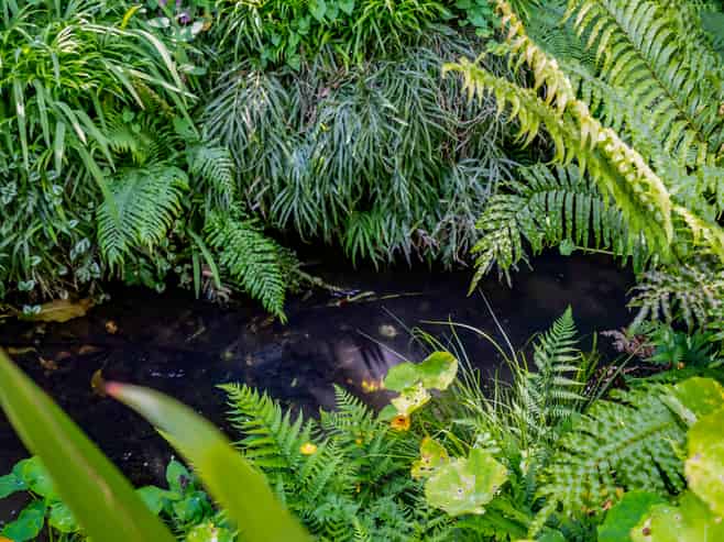 36e Gaine Street, New Plymouth