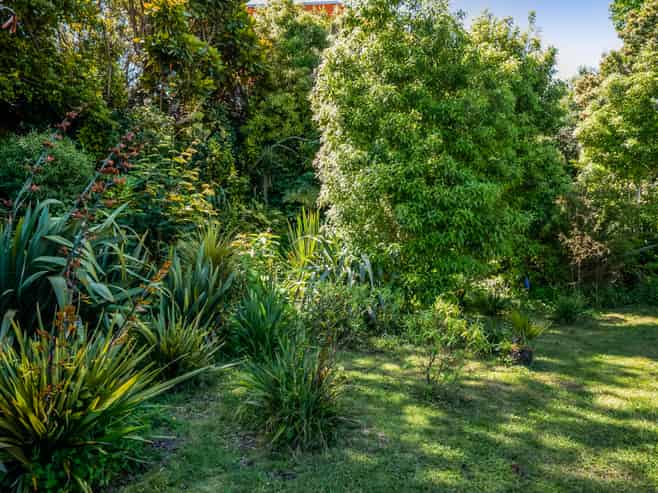 36e Gaine Street, New Plymouth