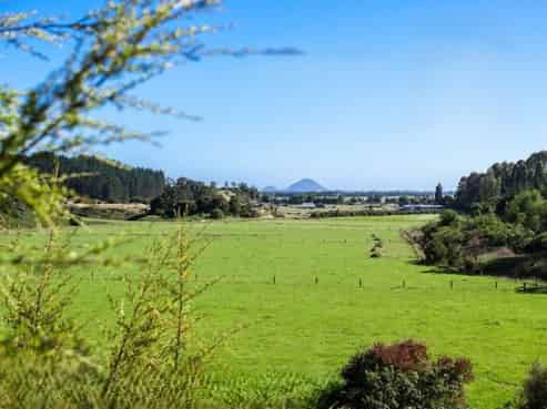 146A Murphy Road, Awakeri