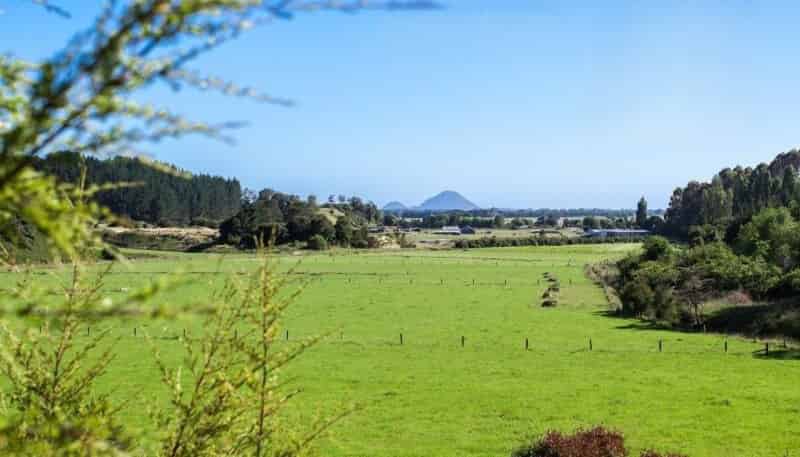 146A Murphy Road, Awakeri