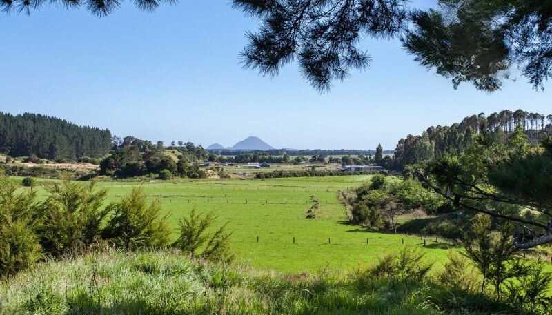 146A Murphy Road, Awakeri