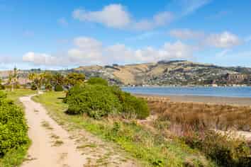 78 Rocking Horse Road, Southshore