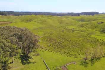 616 Muhunoa Road, Ohau