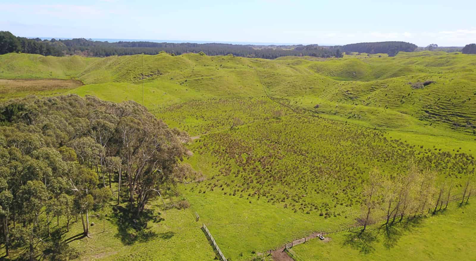 616 Muhunoa West Road, Ohau, Horowhenua - For Sale - realestate.co.nz