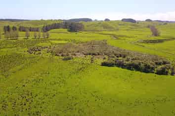 616 Muhunoa Road, Ohau