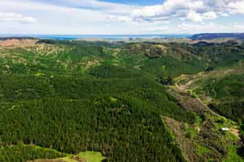  Chimney Creek Forest Rights, Kotemaori