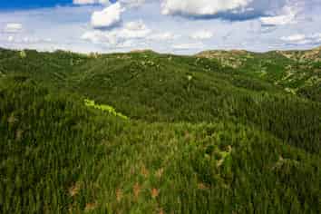  Chimney Creek Forest Rights, Kotemaori