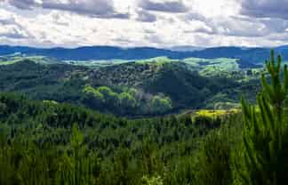  Chimney Creek Forest Rights, Kotemaori