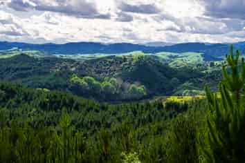  Chimney Creek Forest Rights, Kotemaori