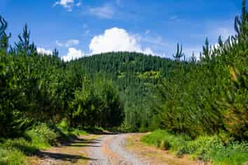  Chimney Creek Forest Rights, Kotemaori